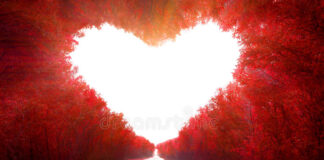 அழகான ஆக்கிரமிப்பு… road-to-love-trees-shape-heart-58864200-9cbc1499