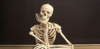 மீண்டும் மீண்டும் நினைவுகள் 1030_LL_bones-800x450-32c606e0