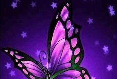 பட்டாம்பூச்சி 97fd29d0ab76f3504e9e19bbba71171e-b7a8a5a4