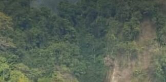 ஒரு சுதந்திர பறவை susmita-1fda61f4