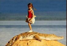 பெண் பெருமை 944292_495782120493122_376654614_n-aee7de01