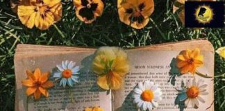 හෙන්දිරික්කා ප්රේමය FB_IMG_1681178405072-31a5fa77