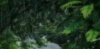 අක්බාර් පාලම IMG-20230411-WA0002-28e8ad78