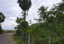 Land for Sale – Passikudah