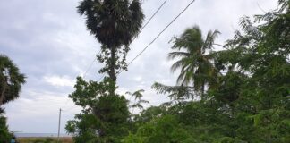 Land for Sale – Passikudah