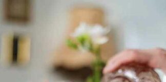 Unlocking the Secrets of Home Wine: From Ancient Traditions to Modern Delights