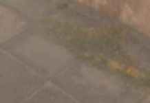 Rise 8c8e7a478f3a2ed5562fffc2c3c8a280