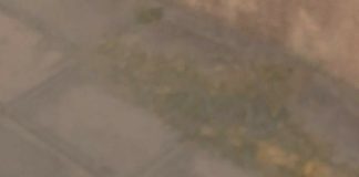 Rise 8c8e7a478f3a2ed5562fffc2c3c8a280