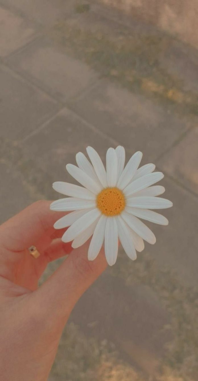8c8e7a478f3a2ed5562fffc2c3c8a280