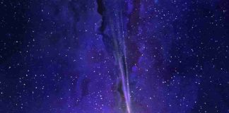 பற்றுள்ளம் கொண்டவள் compressed_image_50kb