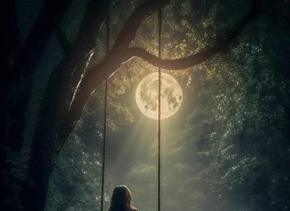 மீட்சி IMG-20250824-WA0029