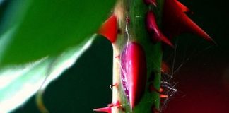 நான் அறியேன்.. 1000421605